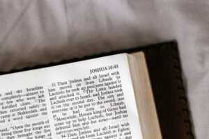 Corinna toivonen author