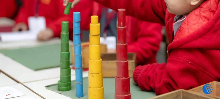 Sosoactive education