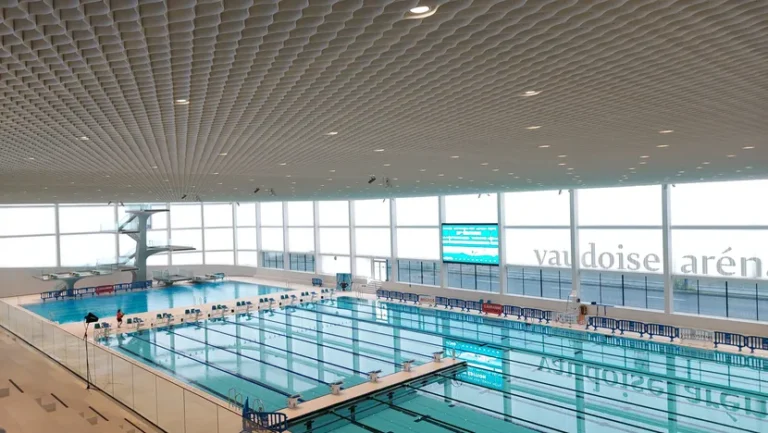 Polyhister arena: A Complete Informative Guide Polyhister arena